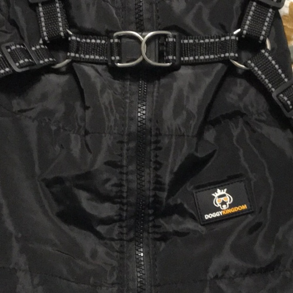 M Black - Doggie Kingdom Jacket